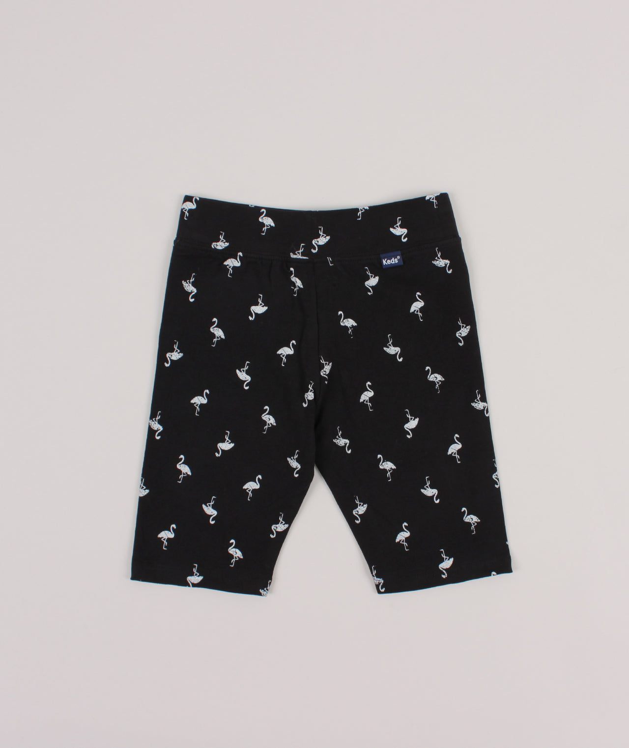 טייץ  FLAMINGO